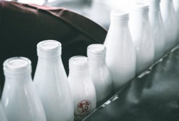 Best Milk Delivery In Chennai