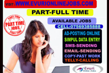 Private: Part Time Home Based Offline Online Data Entry Jobs