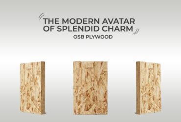 Best  plywood suppliers in Kochi