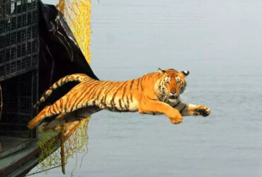 Sundarban Package Tour Booking from Kolkata