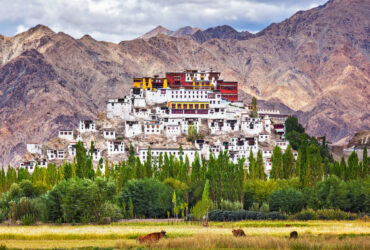 Ladakh Package Tour from Kolkata with NatureWings