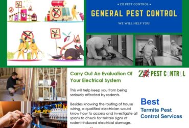 Contact pest control service in Noida