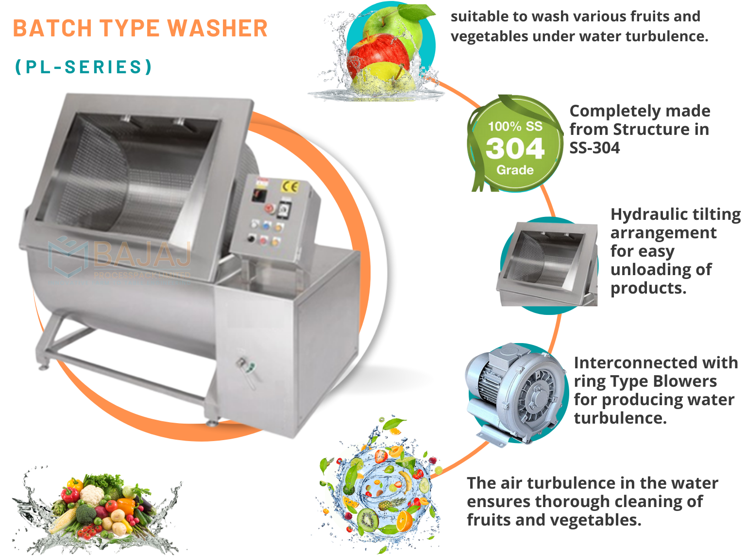 Fruits and vegetable washer
