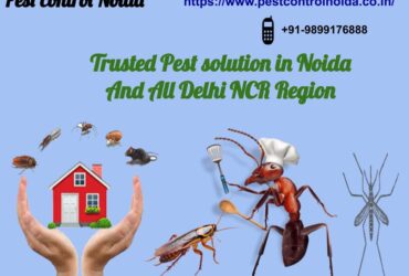 Best Offer – Trusted Pest solution in Noida