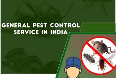 Trusted General pest control service in Noida