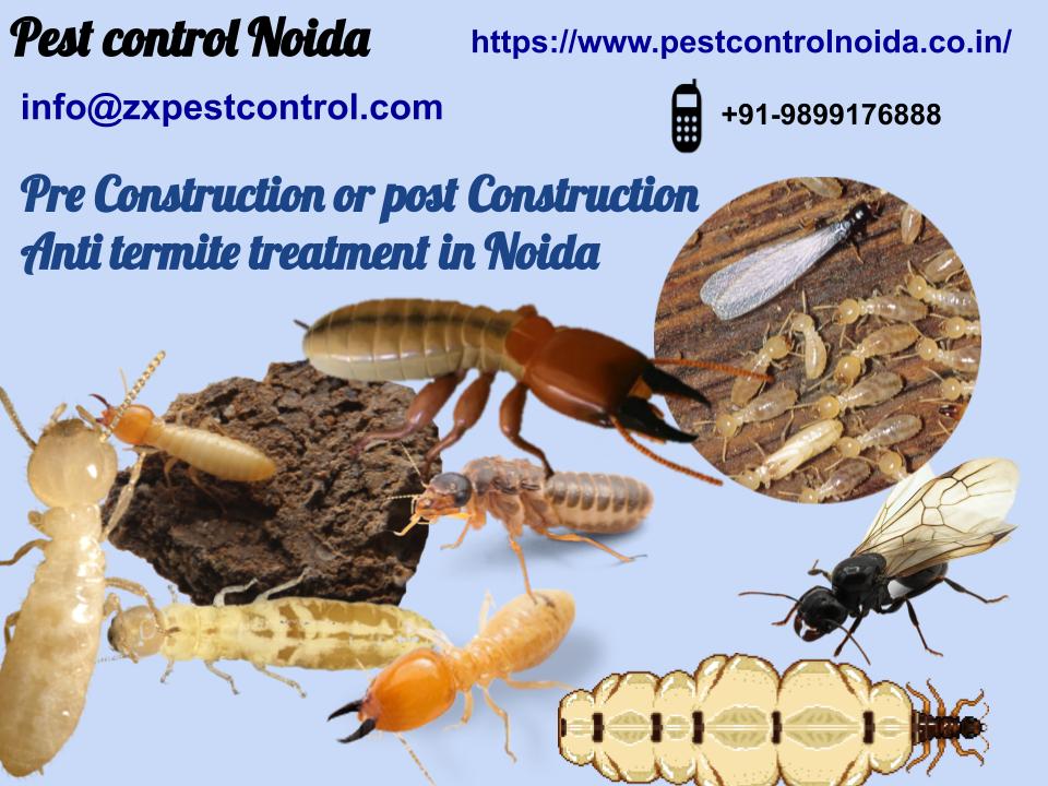 Pre Construction and post Construction Anti termite treatment in Noida