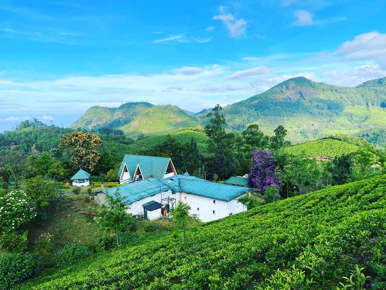 Best resorts in Munnar for families