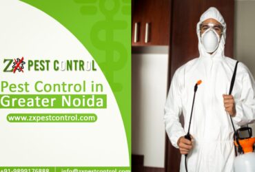 Best Offer For Pest Control service in Greater Noida