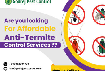 Are you looking for Affordable Anti-Termite Control Services? | Godrej Pest Control