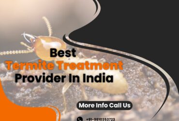 Contact the Best Termite Treatment Provider In India