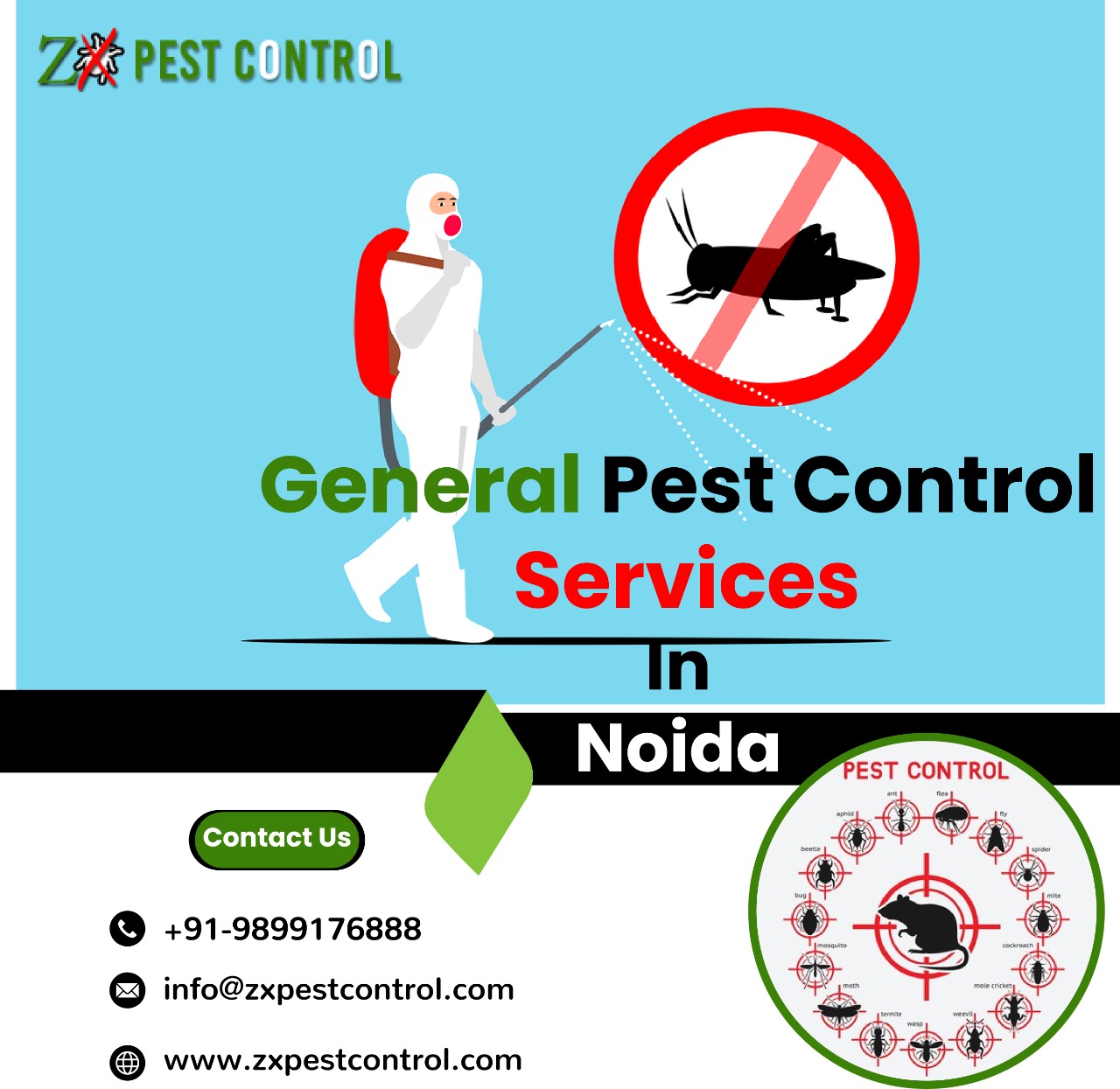 Get Our Services in Noida to Keep Your Home Pest-Free