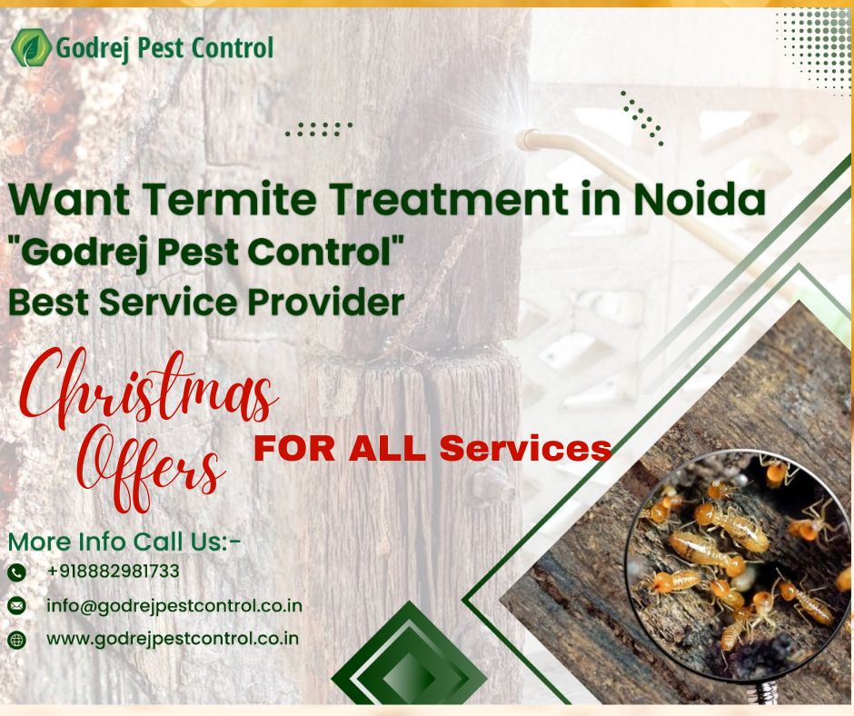 WANT TERMITE TREATMENT IN NOIDA | GET CHRISTMAS OFFER ON SERVICES