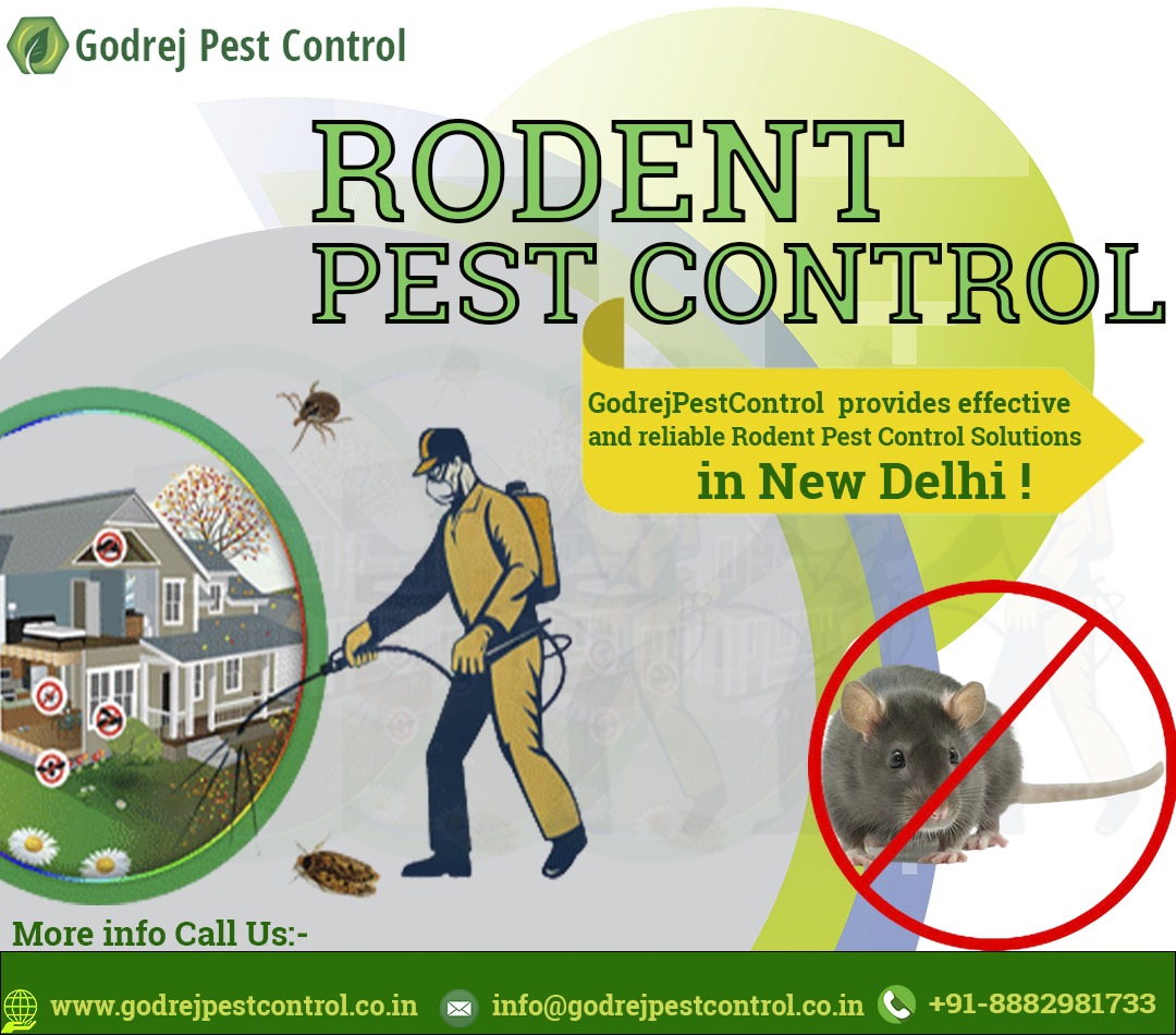 Protect your Home or office From Pests like Rodent | Godrej Pest Control