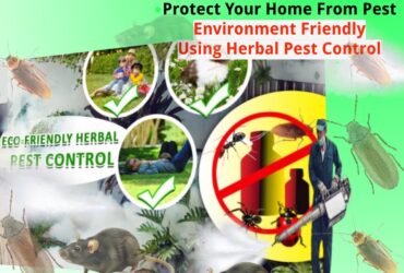 Want Herbal Pest Control in Noida, Delhi | Godrej Pest Control