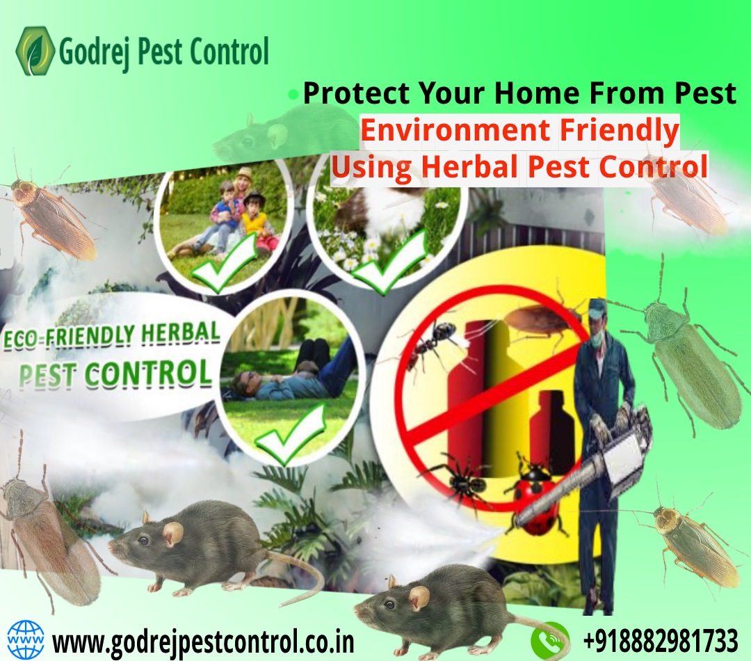 Want Herbal Pest Control in Noida, Delhi | Godrej Pest Control