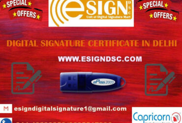 Professional digital signature certificate agency in delhi