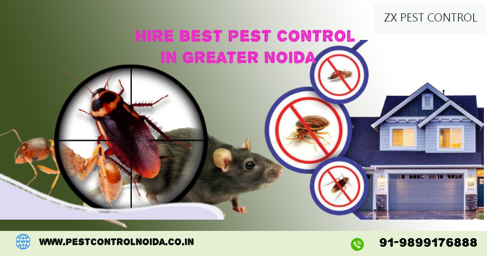 Hire Best Pest Control in Greater Noida | ZX Pest Control Noida