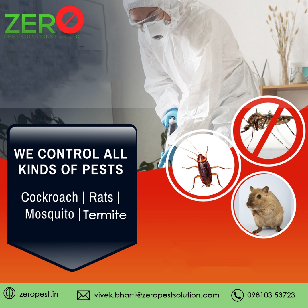 Best Cockroach Pest Control Services by Zero Pest Solutions