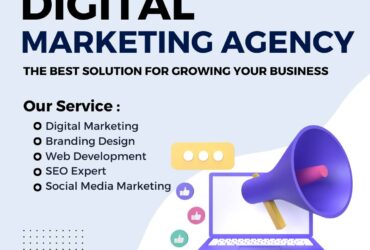 Digital Marketing Company | Marketing Agency in Delhi | Touchstone Infotech